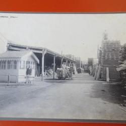 Photo Société Française d'Exploitations Forestières Oran Algérie 1913