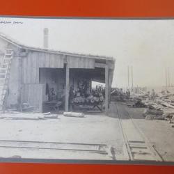 Photo Société Française d'Exploitations Forestières Oran Algérie 1913