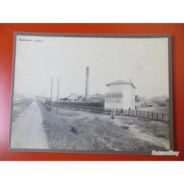 Photo Soci�t� Fran�aise d'Exploitations Foresti�res Oran Alg�rie 1913