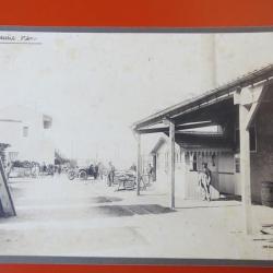 Photo Société Française d'Exploitations Forestières Oran Algérie 1913