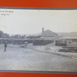 Photo Société Française d'Exploitations Forestières Oran Algérie 1913