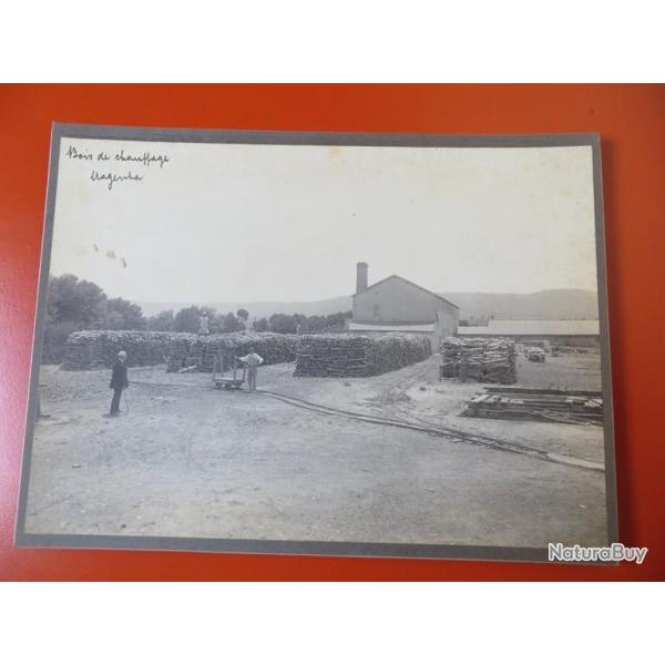 Photo Soci�t� Fran�aise d'Exploitations Foresti�res Oran Alg�rie 1913