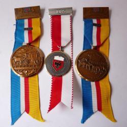 Médailles (3 ) Pompier