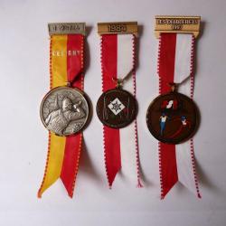 Médailles (3 ) Pompier