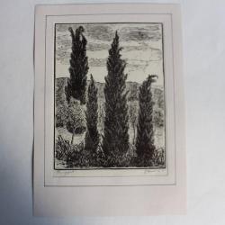 Yvonne HEILBRONNER Gravure sur bois Les Cyprès 1965