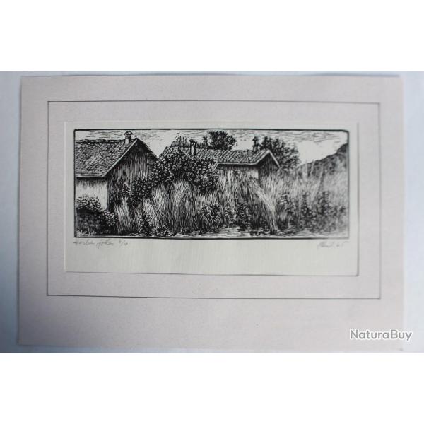 Yvonne HEILBRONNER Gravure sur bois Herbes folles 1965