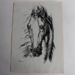 Dessin encre de chine Tête de Cheval Delacoux