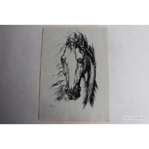 Dessin encre de chine T�te de Cheval Delacoux