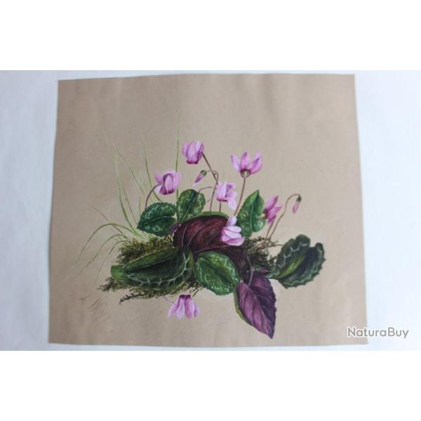 Peinture gouache Cyclamen A. W. XIXe si�cle fleurs botanique