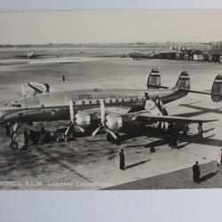 CPA Pays-Bas Schiphol Passagers sortant d'un Lockheed Constellation