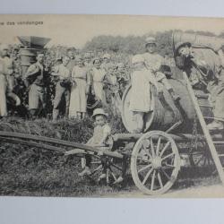 CPA Suisse Sc&egrave;nes Vaudoise n&deg;5146 Au temps des vendanges