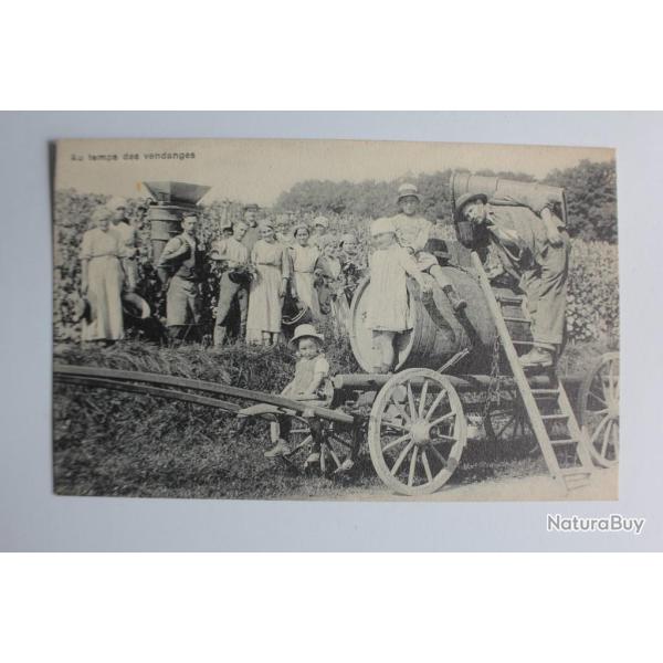 CPA Suisse Sc�nes Vaudoise n�5146 Au temps des vendanges