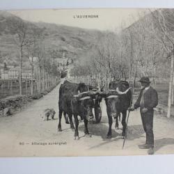 CPA France Auvergne n&deg;80 Attelage auvergnat