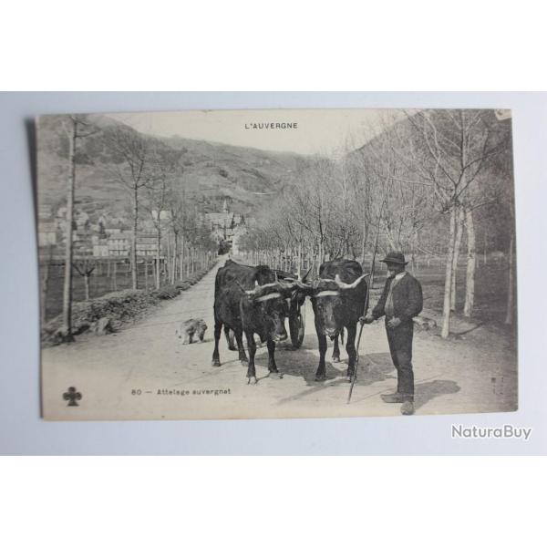 CPA France Auvergne n�80 Attelage auvergnat