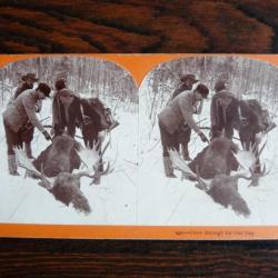 Photographie Photo Stéréo Alaska Chasse