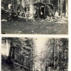 Photographie Suisse Neuchâtel Forêt Bois de la Joux (x2)