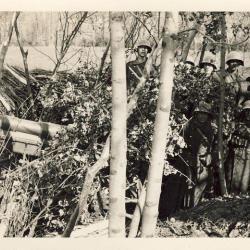 CP Photo Militaria Soldats Régiment Suisse Canon camouflé en forêt Kloten