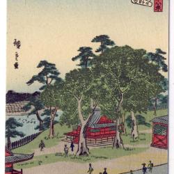 CPA illustr&eacute;e sign&eacute;e japonaise Japon Japan Estampe Sc&egrave;nes de vie Rare