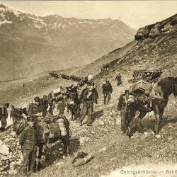 Carte Postale ancienne Artillerie de montagne Gebirgsartillerie Suisse militaria