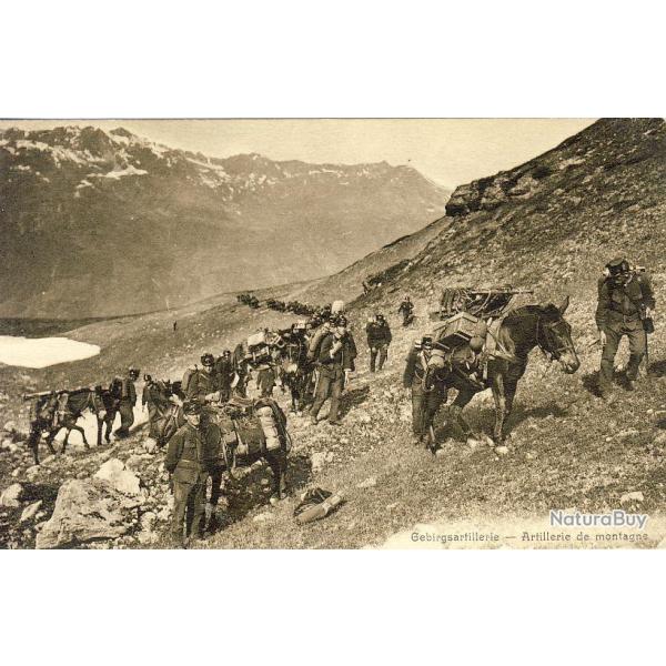 Carte Postale ancienne Artillerie de montagne Gebirgsartillerie Suisse militaria