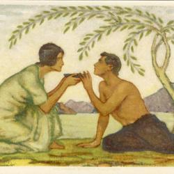 Entier postal CPA Croix Rouge F&ecirc;te nationale Suisse 1917