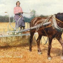 CPA Agriculture Working on the land Cheval Femme agricultrice travail champs