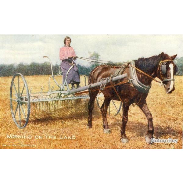 CPA Agriculture Working on the land Cheval Femme agricultrice travail champs