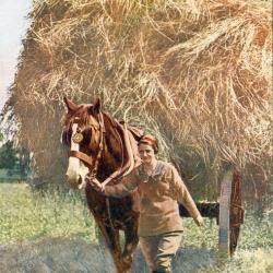 CPA Agriculture Working on the land Femme agricultrice travail aux champs