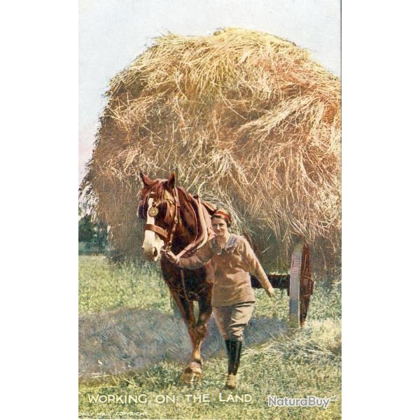 CPA Agriculture Working on the land Femme agricultrice travail aux champs