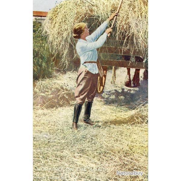 CPA Agriculture Femme paysan Working on the land women Char � foin Oilette