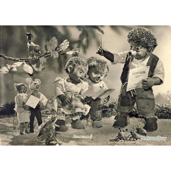 CP Animaux H�rison Hausmusik Chant Salzburg