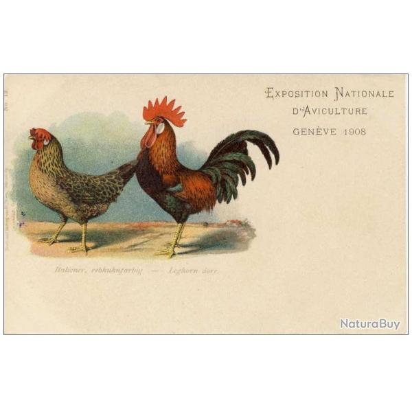 CPA COQ Exposition National d�Aviculture Gen�ve 1908