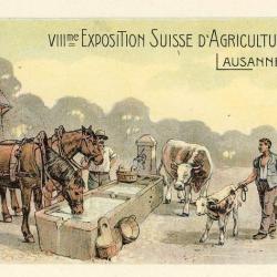CPA VIII me Exposition Suisse d'Agriculture Lausanne 1910 Illustrateur Chevaux