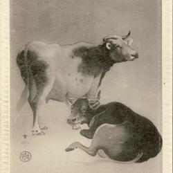 CPA Carte Postale illustr&eacute;e Signe chinois Ann&eacute;e du BUFFLE