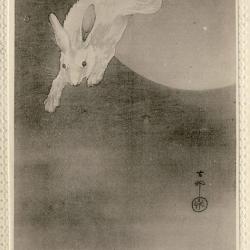 CPA Carte Postale illustr&eacute;e Signe chinois Ann&eacute;e du LAPIN