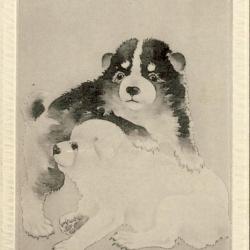 CPA Carte Postale illustr&eacute;e Signe chinois Ann&eacute;e du CHIEN