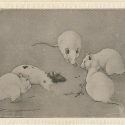 CPA Carte Postale illustr&eacute;e Signe chinois Ann&eacute;e du RAT