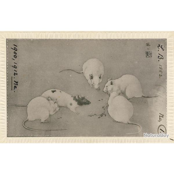 CPA Carte Postale illustr�e Signe chinois Ann�e du RAT