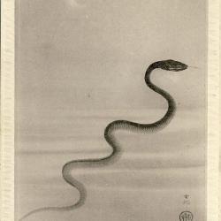 CPA Carte Postale illustr&eacute;e Signe chinois Ann&eacute;e du SERPENT