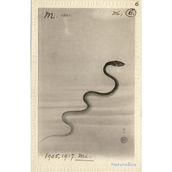 CPA Carte Postale illustr�e Signe chinois Ann�e du SERPENT