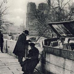 CPA 75 PARIS Bouquiniste et Notre-Dame