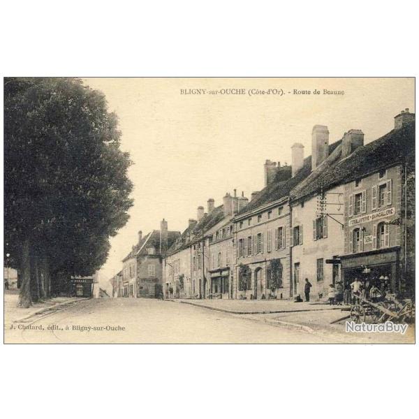 CPA 21 COTE D'OR BLIGNY sur OUCHE Route de Beaune
