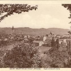 CPA 69 Rh&ocirc;ne Saint Martin en Haut bois du petit village