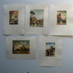 Ancienne Gravure Eau Forte Robin en Couleurs