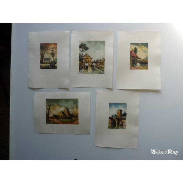 Ancienne Gravure Eau Forte Robin en Couleurs