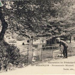 CPA 25 DOUBS Besan&ccedil;on Franche Comt&eacute; Promenade Micaud