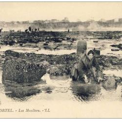 CPA 62 Pas de Calais Le Portel Les Mouliers LL