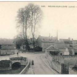 CPA 45 Loiret Meung sur Loire Les Platanes