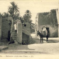CPA Alg&eacute;rie BISKRA Habitations Arabes dans l'oasis