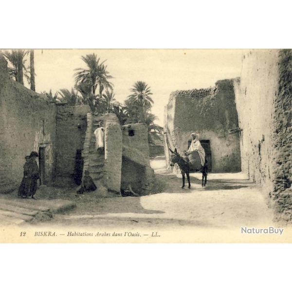 CPA Alg�rie BISKRA Habitations Arabes dans l'oasis